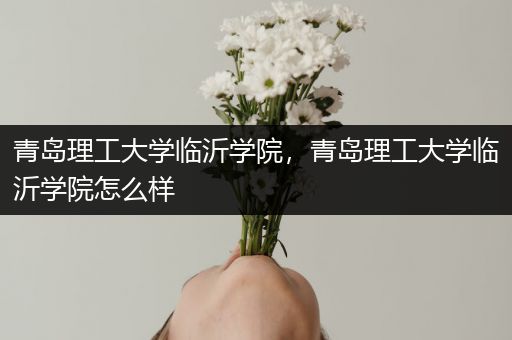 青岛理工大学临沂学院，青岛理工大学临沂学院怎么样