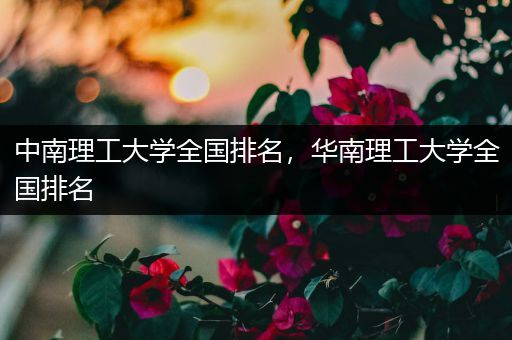 中南理工大学全国排名，华南理工大学全国排名