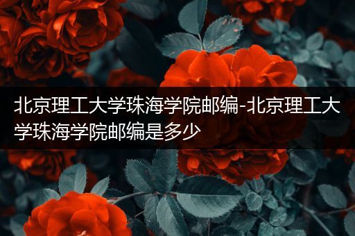 北京理工大学珠海学院邮编-北京理工大学珠海学院邮编是多少