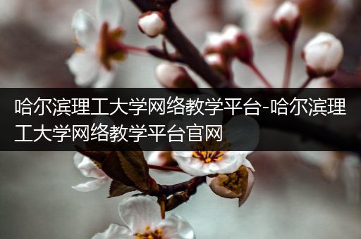 哈尔滨理工大学网络教学平台-哈尔滨理工大学网络教学平台官网