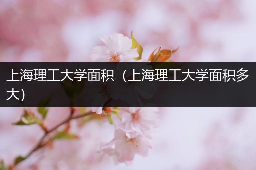 上海理工大学面积（上海理工大学面积多大）