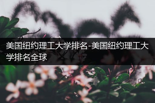 美国纽约理工大学排名-美国纽约理工大学排名全球