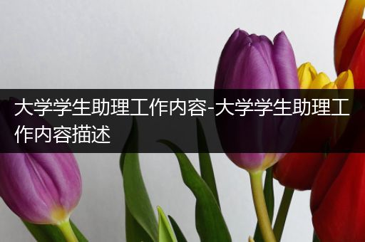 大学学生助理工作内容-大学学生助理工作内容描述