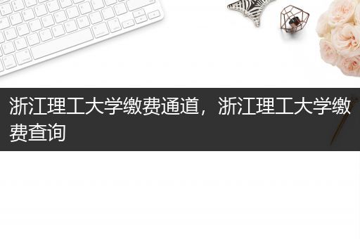 浙江理工大学缴费通道，浙江理工大学缴费查询