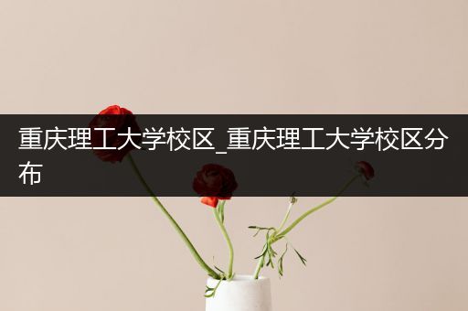 重庆理工大学校区_重庆理工大学校区分布