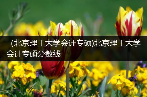 （北京理工大学会计专硕)北京理工大学会计专硕分数线