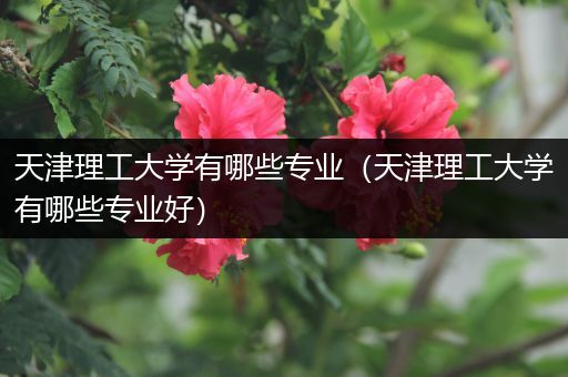 天津理工大学有哪些专业（天津理工大学有哪些专业好）