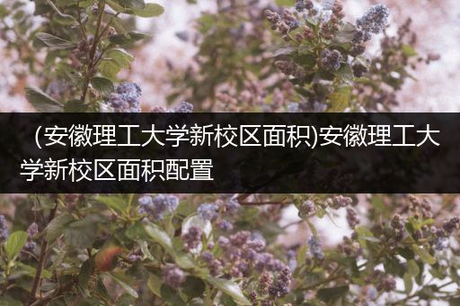 （安徽理工大学新校区面积)安徽理工大学新校区面积配置