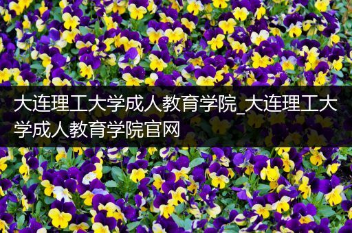大连理工大学成人教育学院_大连理工大学成人教育学院官网