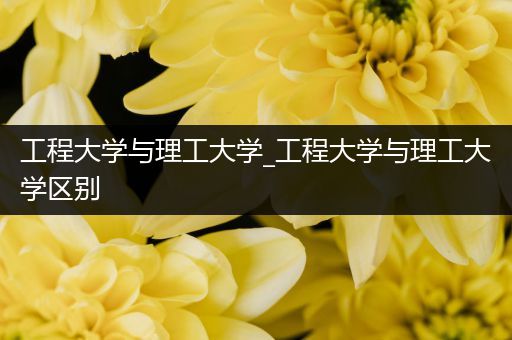 工程大学与理工大学_工程大学与理工大学区别