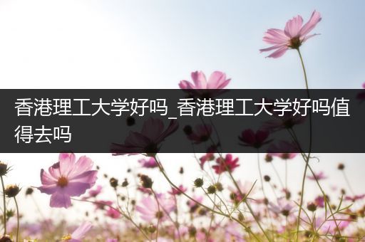 香港理工大学好吗_香港理工大学好吗值得去吗