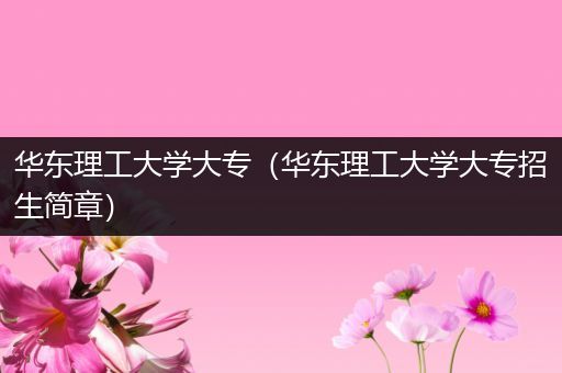 华东理工大学大专（华东理工大学大专招生简章）