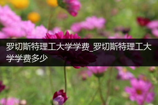罗切斯特理工大学学费_罗切斯特理工大学学费多少