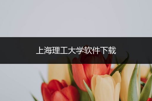 上海理工大学软件下载