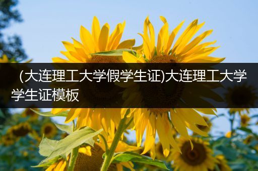 （大连理工大学假学生证)大连理工大学学生证模板