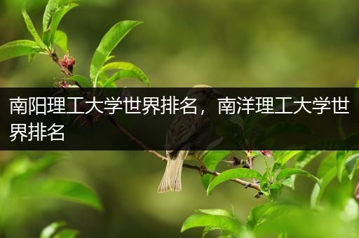 南阳理工大学世界排名，南洋理工大学世界排名