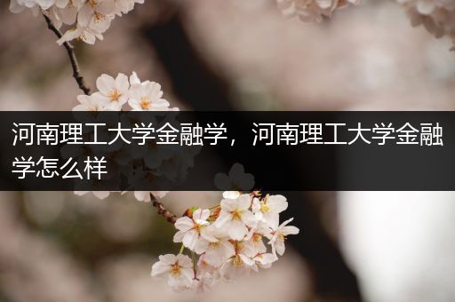 河南理工大学金融学，河南理工大学金融学怎么样