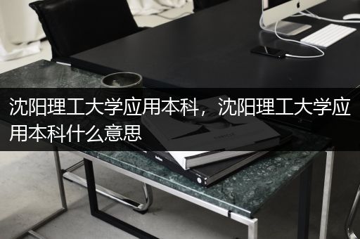 沈阳理工大学应用本科，沈阳理工大学应用本科什么意思