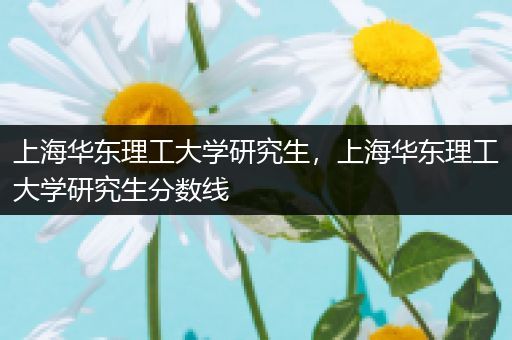 上海华东理工大学研究生，上海华东理工大学研究生分数线