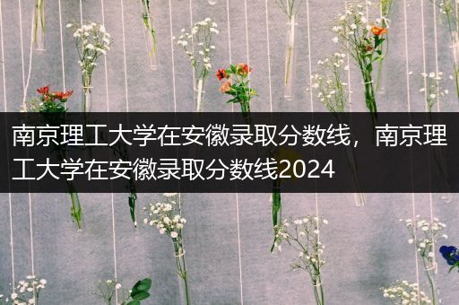 南京理工大学在安徽录取分数线，南京理工大学在安徽录取分数线2024