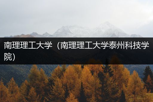 南理理工大学（南理理工大学泰州科技学院）