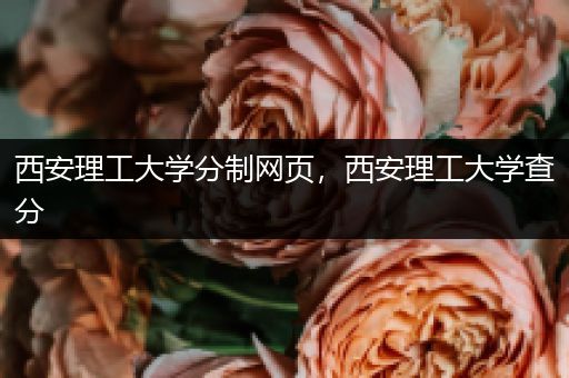 西安理工大学分制网页，西安理工大学查分