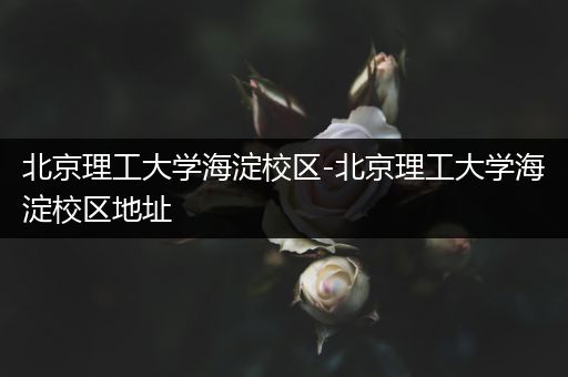 北京理工大学海淀校区-北京理工大学海淀校区地址