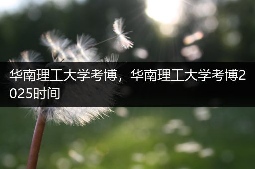 华南理工大学考博，华南理工大学考博2025时间