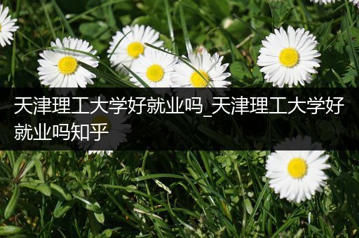 天津理工大学好就业吗_天津理工大学好就业吗知乎