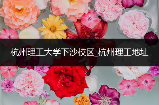 杭州理工大学下沙校区_杭州理工地址