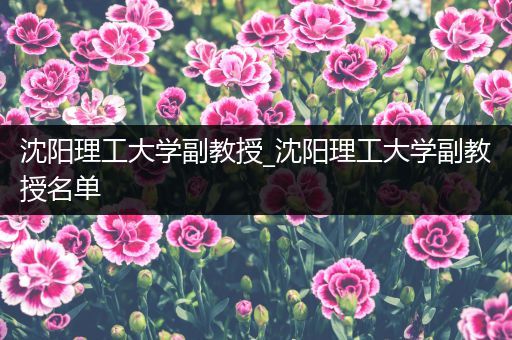 沈阳理工大学副教授_沈阳理工大学副教授名单