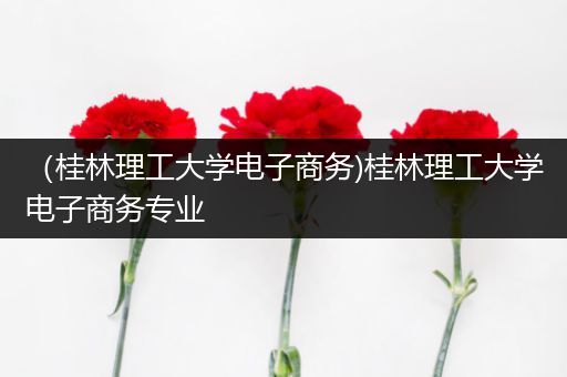 （桂林理工大学电子商务)桂林理工大学电子商务专业