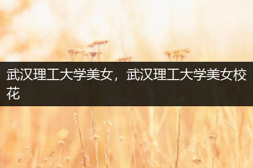 武汉理工大学美女，武汉理工大学美女校花