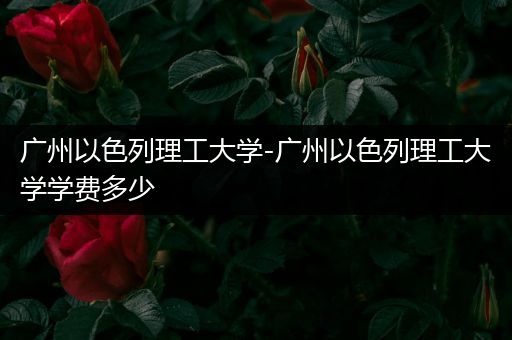 广州以色列理工大学-广州以色列理工大学学费多少