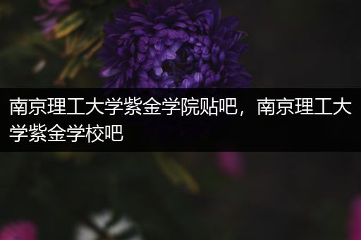 南京理工大学紫金学院贴吧，南京理工大学紫金学校吧