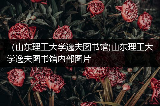 （山东理工大学逸夫图书馆)山东理工大学逸夫图书馆内部图片