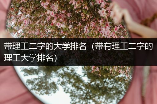 带理工二字的大学排名（带有理工二字的理工大学排名）
