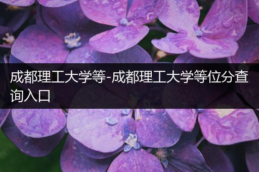 成都理工大学等-成都理工大学等位分查询入口