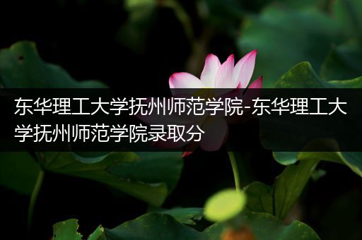东华理工大学抚州师范学院-东华理工大学抚州师范学院录取分