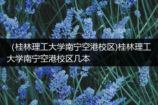 （桂林理工大学南宁空港校区)桂林理工大学南宁空港校区几本
