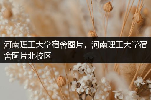 河南理工大学宿舍图片，河南理工大学宿舍图片北校区