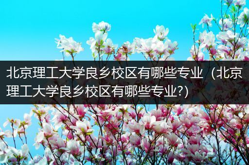 北京理工大学良乡校区有哪些专业（北京理工大学良乡校区有哪些专业?）