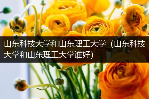 山东科技大学和山东理工大学（山东科技大学和山东理工大学谁好）