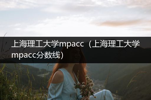 上海理工大学mpacc（上海理工大学mpacc分数线）