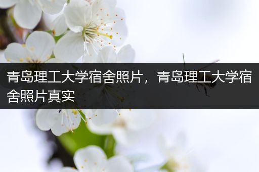 青岛理工大学宿舍照片，青岛理工大学宿舍照片真实