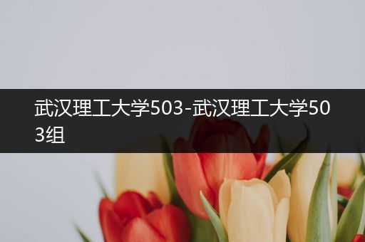 武汉理工大学503-武汉理工大学503组