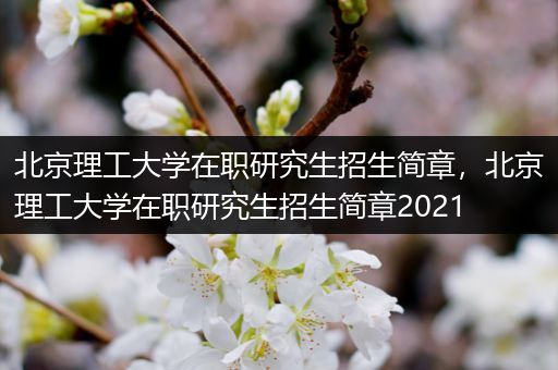 北京理工大学在职研究生招生简章，北京理工大学在职研究生招生简章2021