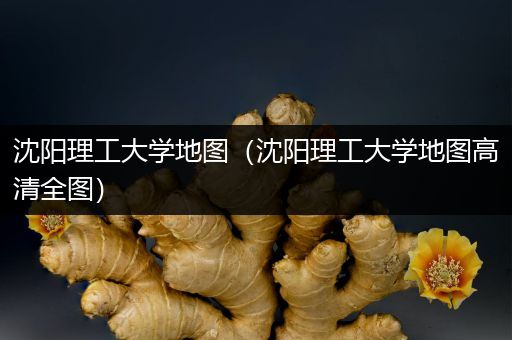 沈阳理工大学地图（沈阳理工大学地图高清全图）