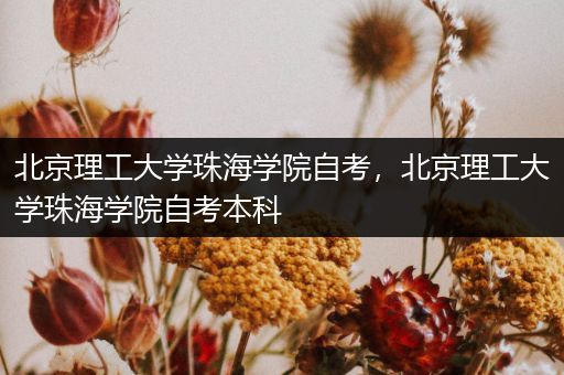 北京理工大学珠海学院自考，北京理工大学珠海学院自考本科