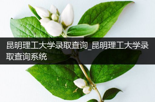 昆明理工大学录取查询_昆明理工大学录取查询系统
